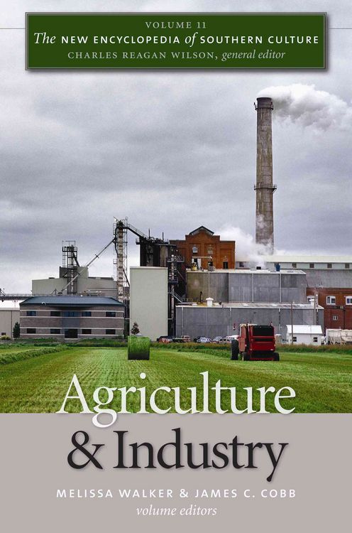 Produktbild: The New Encyclopedia of Southern Culture