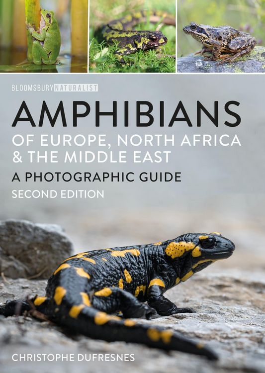 Produktbild: Amphibians of Europe, North Africa and the Middle East