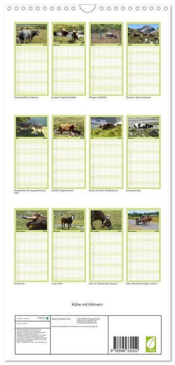 Produktbild: Familienplaner 2027 - K&uuml;he mit H&ouml;rnern mit 5 Spalten (Wandkalender, 21 x 45 cm) CALVENDO