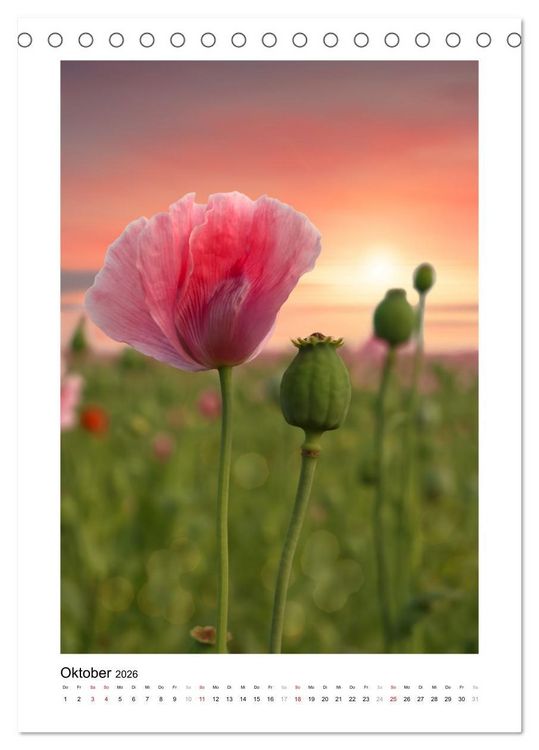 Produktbild: Zauber der Mohnbl&uuml;te (Tischkalender 2026 DIN A5 hoch), CALVENDO Monatskalender