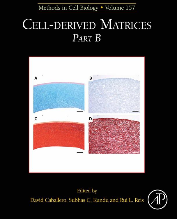 Produktbild: Cell-Derived Matrices Part B