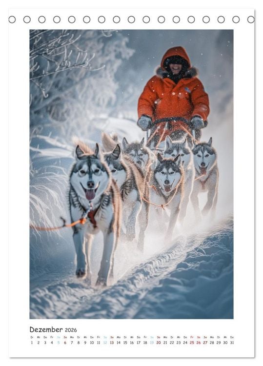 Produktbild: Schlittenhunderennen (Tischkalender 2026 DIN A5 hoch), CALVENDO Monatskalender
