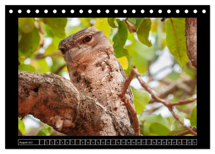 Produktbild: V&ouml;gel von "Down Under" Australien (Tischkalender 2027 DIN A5 quer), CALVENDO Monatskalender