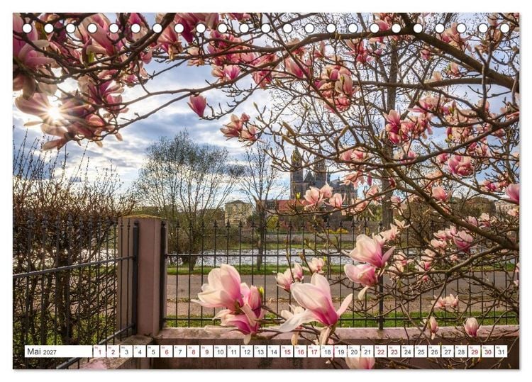 Produktbild: Domperspektiven: Magdeburger Dom - Neu gesehen 2027 (Tischkalender 2027 DIN A5 quer), CALVENDO Monatskalender