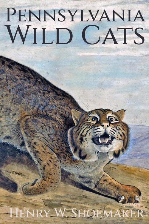Produktbild: Pennsylvania Wild Cats