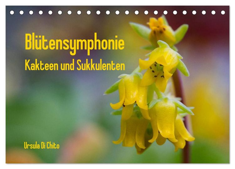 Produktbild: Bl&uuml;tensymphonie - Kakteen und Sukkulenten (Tischkalender 2026 DIN A5 quer), CALVENDO Monatskalender