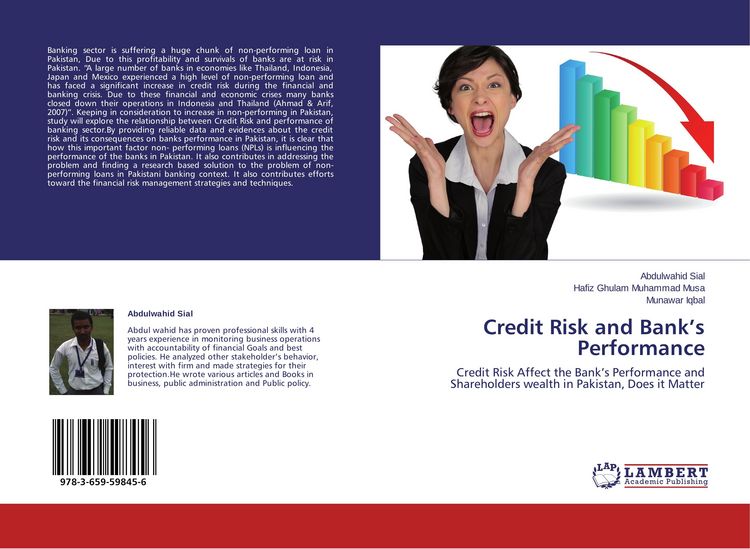 Produktbild: Credit Risk and Bank's Performance