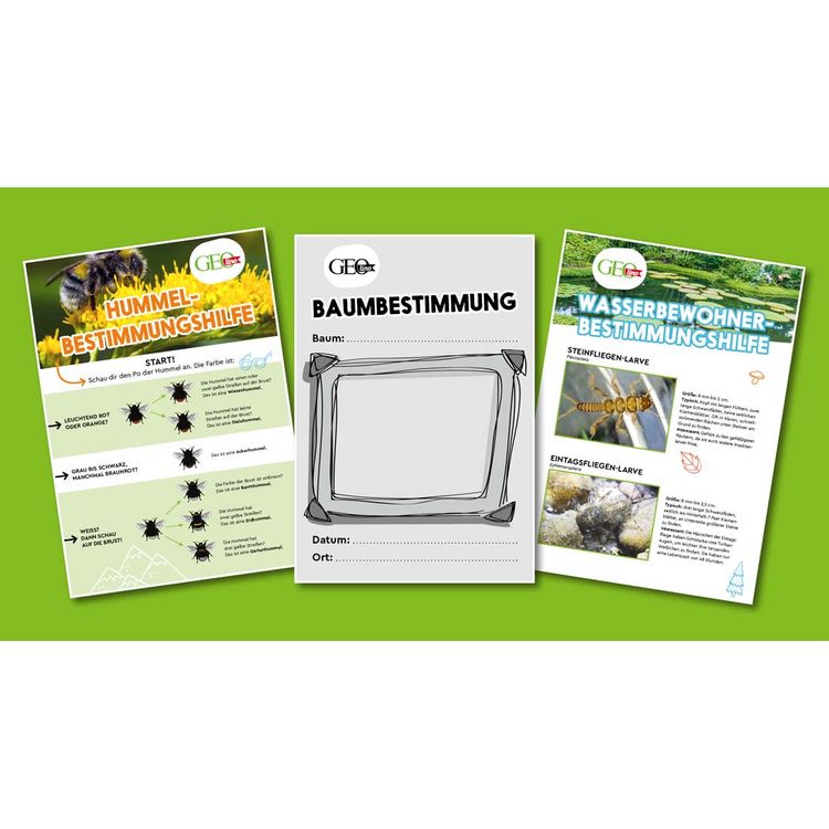 Produktbild: FRANZIS 67142 - GEOlino Natur entdecken und erforschen
