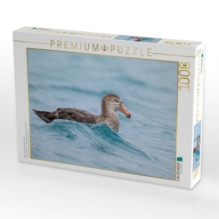 Produktbild: CALVENDO Puzzle Sturmvogel bei Salisbury Plain | 1000 Teile Lege-Gr&ouml;&szlig;e 64x48cm Foto-Puzzle f&uuml;r gl&uuml;ckliche Stunden