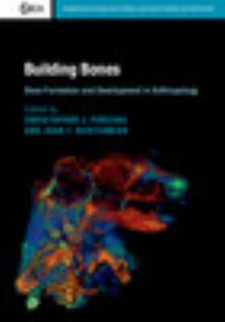 Produktbild: Building Bones: Bone Formation and Development in Anthropology