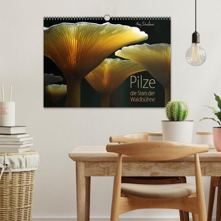 Produktbild: Pilze - die Stars der Waldb&uuml;hne (Wandkalender 2027 DIN A3 quer), CALVENDO Monatskalender