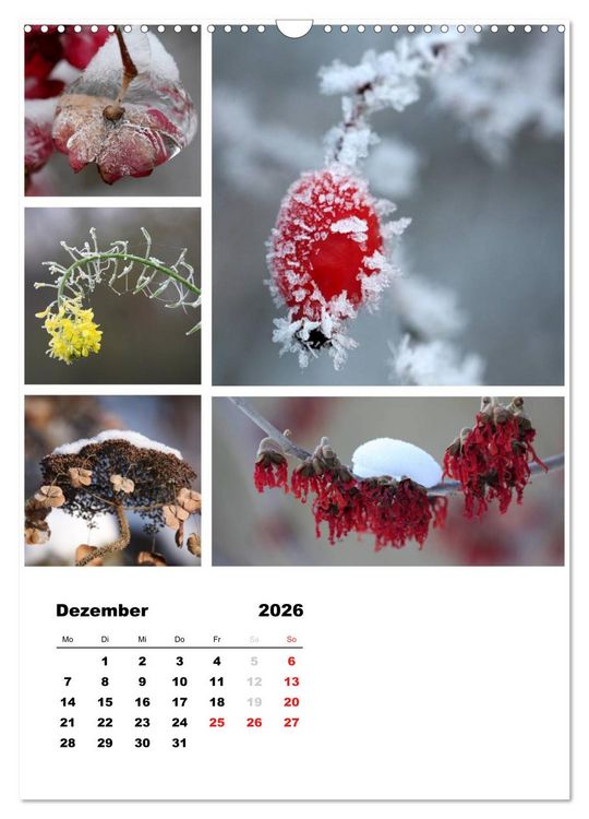 Produktbild: Bl&uuml;ten Collagen (Wandkalender 2026 DIN A3 hoch), CALVENDO Monatskalender