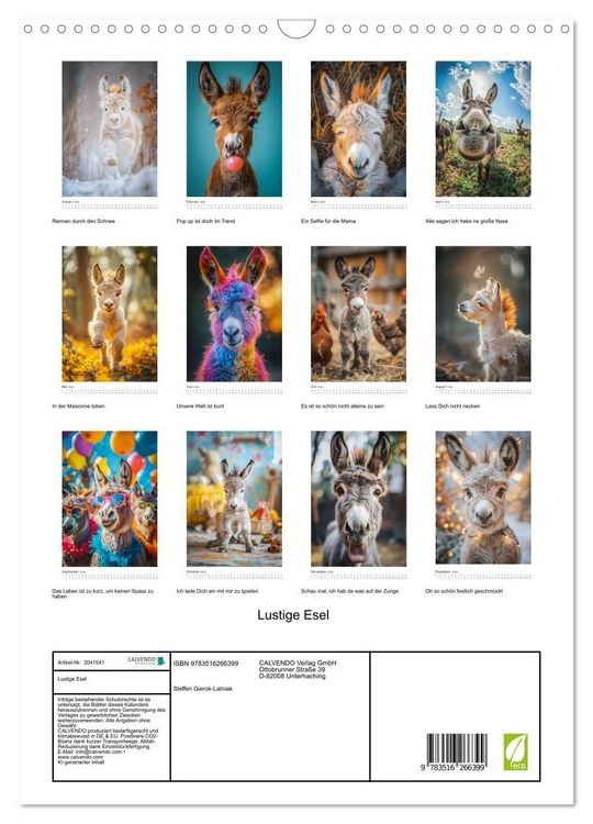 Produktbild: Lustige Esel (Wandkalender 2026 DIN A3 hoch), CALVENDO Monatskalender
