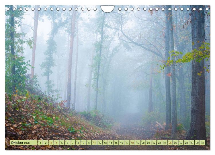 Produktbild: Gr&uuml;nes Halle/Saale - Meine wilde H&auml;ndelstadt (Wandkalender 2026 DIN A4 quer), CALVENDO Monatskalender