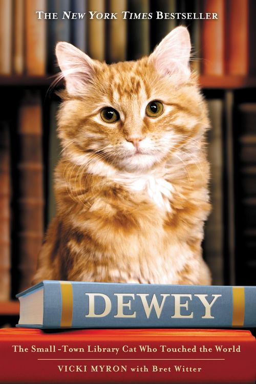 Produktbild: Dewey