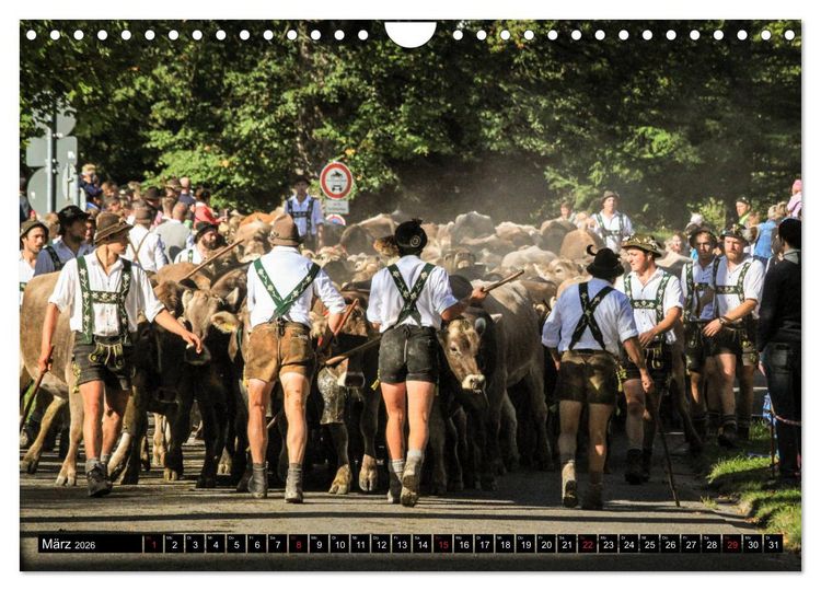 Produktbild: Faszination Allg&auml;u (Wandkalender 2026 DIN A4 quer), CALVENDO Monatskalender