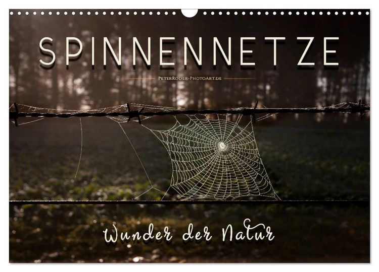 Produktbild: Spinnennetze - Wunder der Natur (Wandkalender 2026 DIN A3 quer), CALVENDO Monatskalender