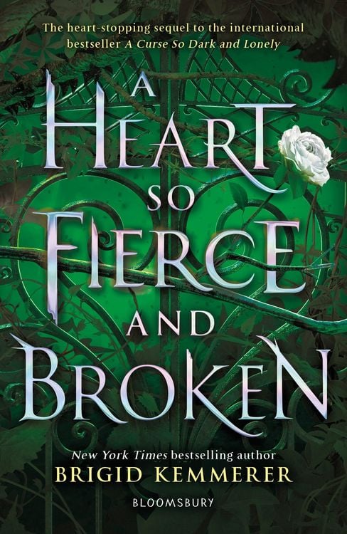 Bild vom Artikel A Heart So Fierce and Broken vom Autor Brigid Kemmerer