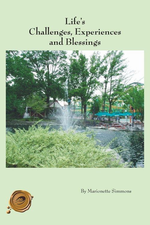 Produktbild: Life's Challenges, Experiences and Blessings