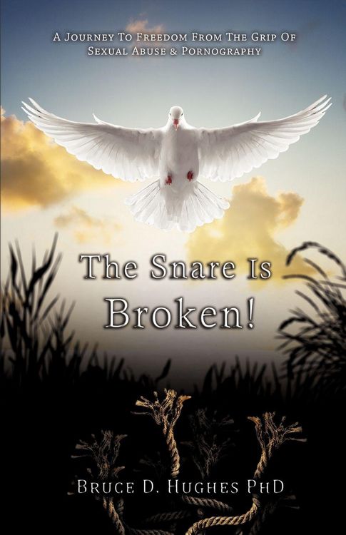 Produktbild: The Snare Is Broken