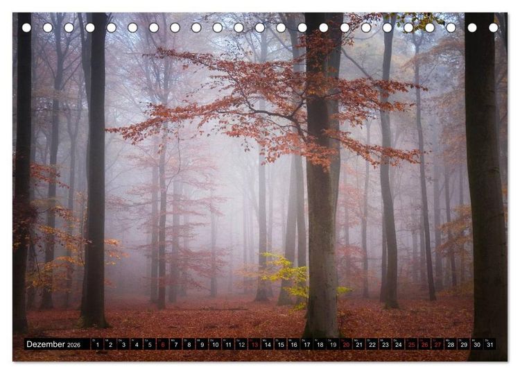 Produktbild: Zauberhafter Sachsenwald (Tischkalender 2026 DIN A5 quer), CALVENDO Monatskalender