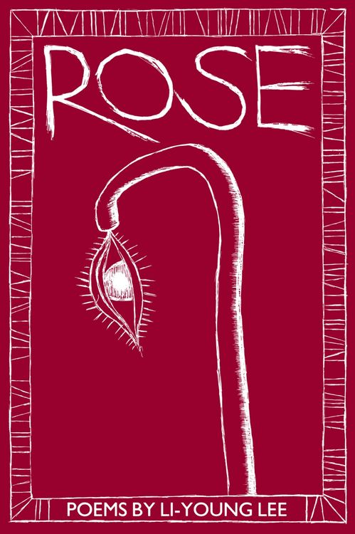 Produktbild: Rose