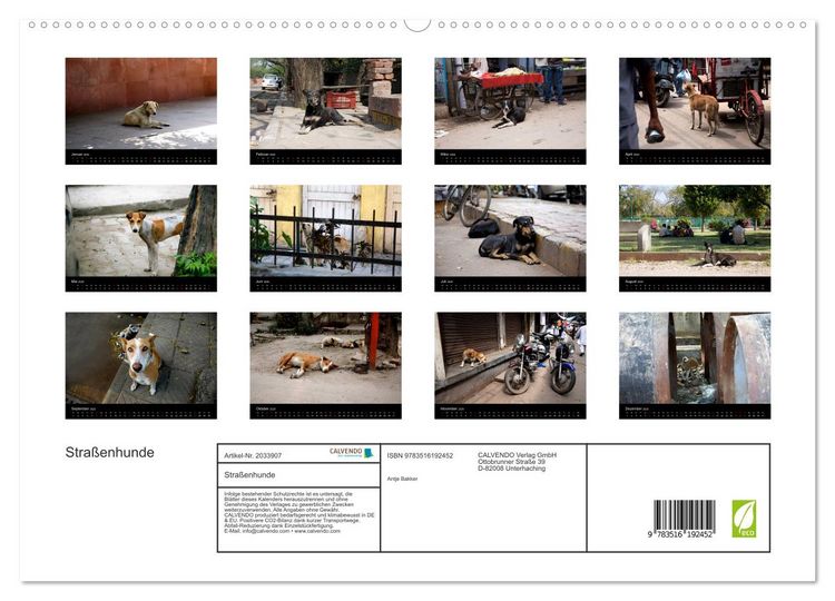 Produktbild: Stra&szlig;enhunde (hochwertiger Premium Wandkalender 2026 DIN A2 quer), Kunstdruck in Hochglanz