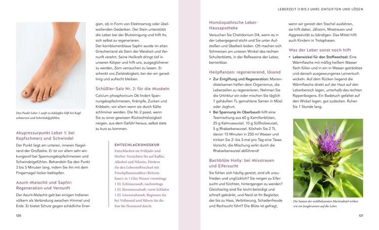 Produktbild: Die Organuhr