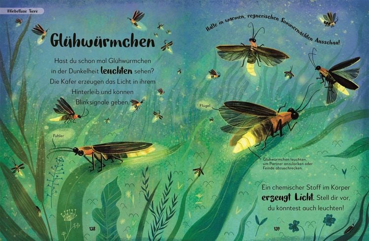Produktbild: Mein liebstes Buch der Tiere der Nacht