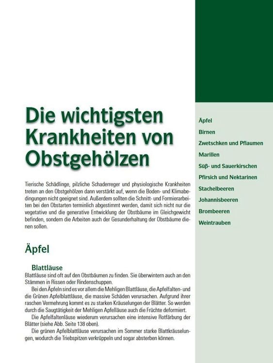 Produktbild: Spalierobst f&uuml;r Mauer, Hecke, Pergola...