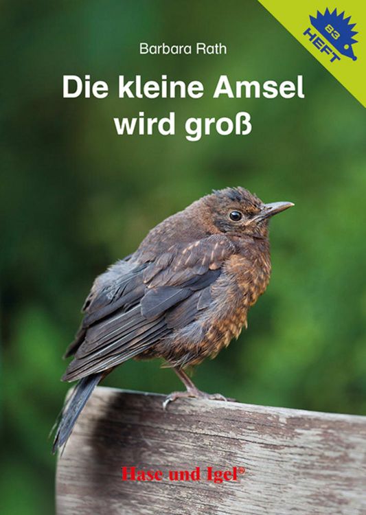 Produktbild: Die kleine Amsel wird gro&szlig; / Igelheft 83
