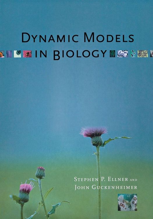 Produktbild: Dynamic Models in Biology