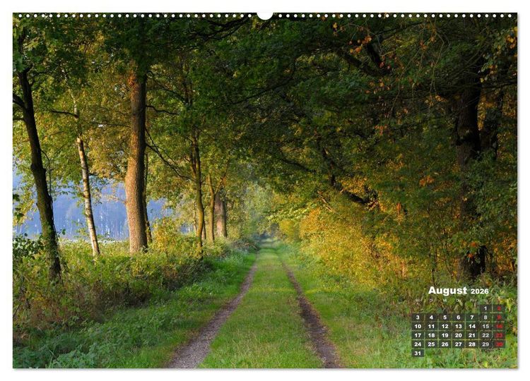 Produktbild: Die Dingdener Heide im Wandel der Jahreszeiten (hochwertiger Premium Wandkalender 2026 DIN A2 quer), Kunstdruck in Hochglanz