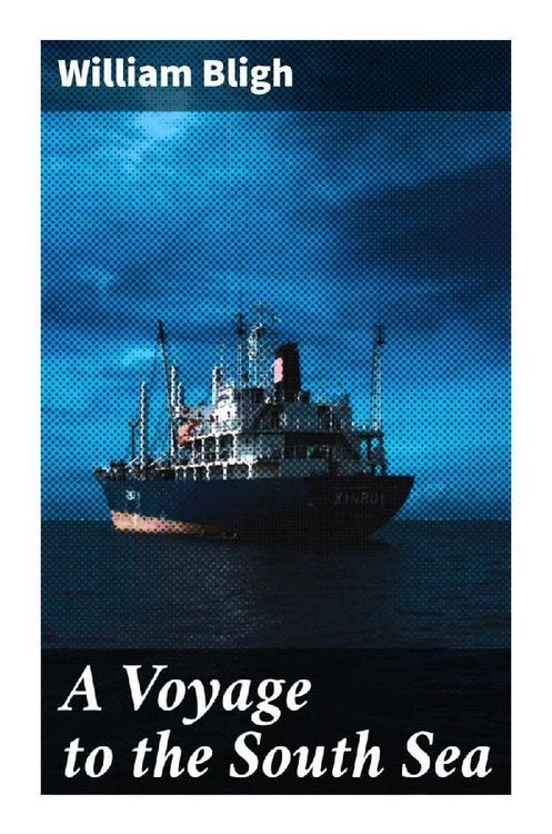 Produktbild: A Voyage to the South Sea