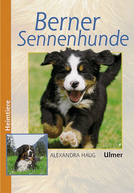 Produktbild: Berner Sennenhunde