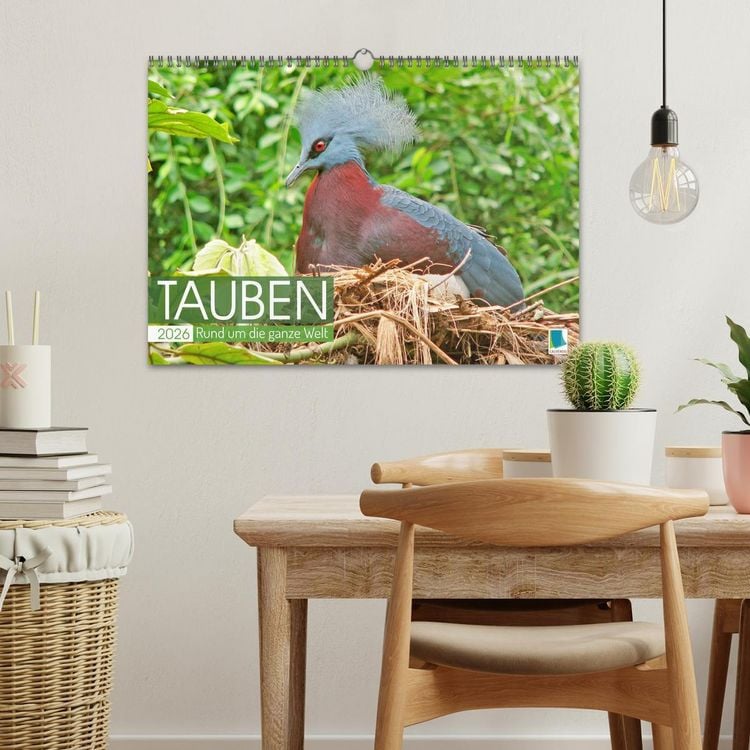 Produktbild: Tauben rund um die ganze Welt (Wandkalender 2026 DIN A3 quer), CALVENDO Monatskalender