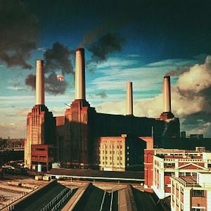 Produktbild: Animals
