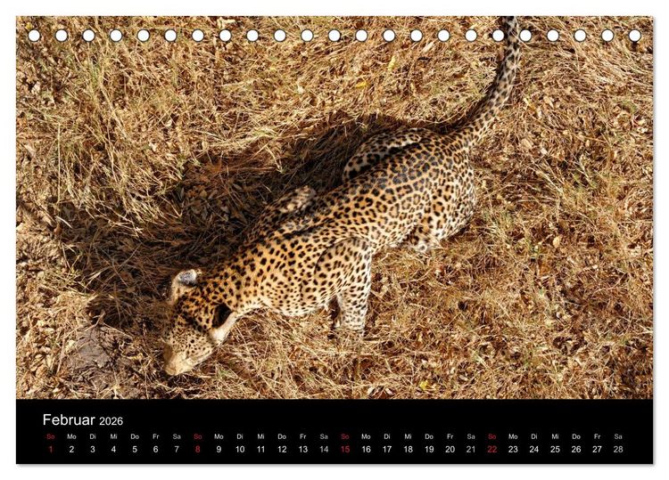 Produktbild: Afrika (Tischkalender 2026 DIN A5 quer), CALVENDO Monatskalender