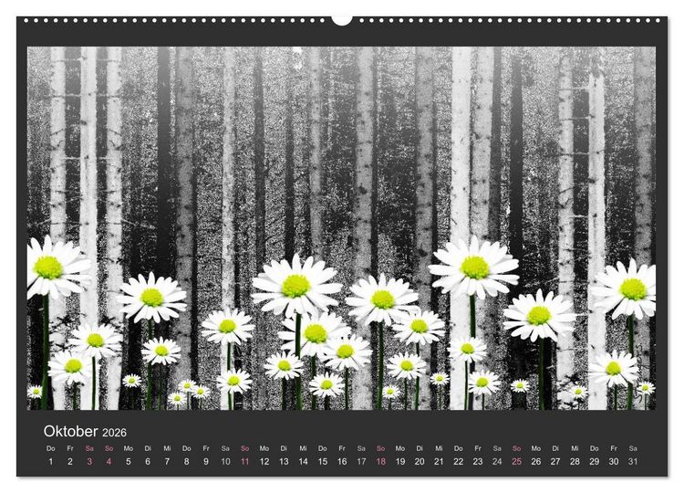 Produktbild: Schwarzwald. Anders. (Wandkalender 2026 DIN A2 quer), CALVENDO Monatskalender