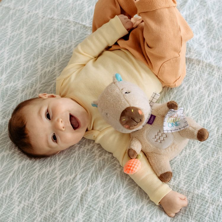 Produktbild: Kuscheltier Capybara Hello little One"