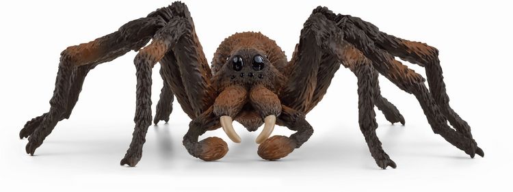 Produktbild: schleich&reg; 13987 Aragog
