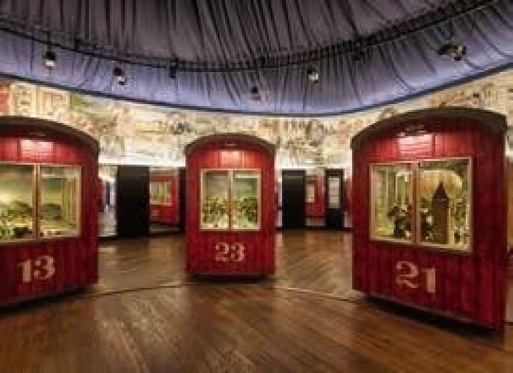 Produktbild: 50 Museen in Wien, die Sie gesehen haben müssen