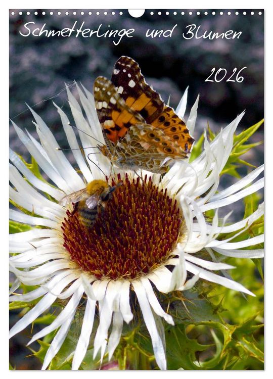 Produktbild: Schmetterlilnge und Blumen (Wandkalender 2026 DIN A3 hoch), CALVENDO Monatskalender