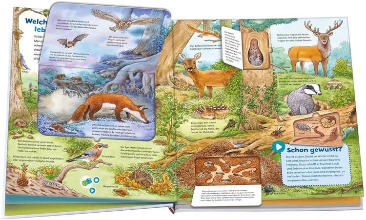 Produktbild: BOOKii&reg; WAS IST WAS Junior Erlebe die Natur!