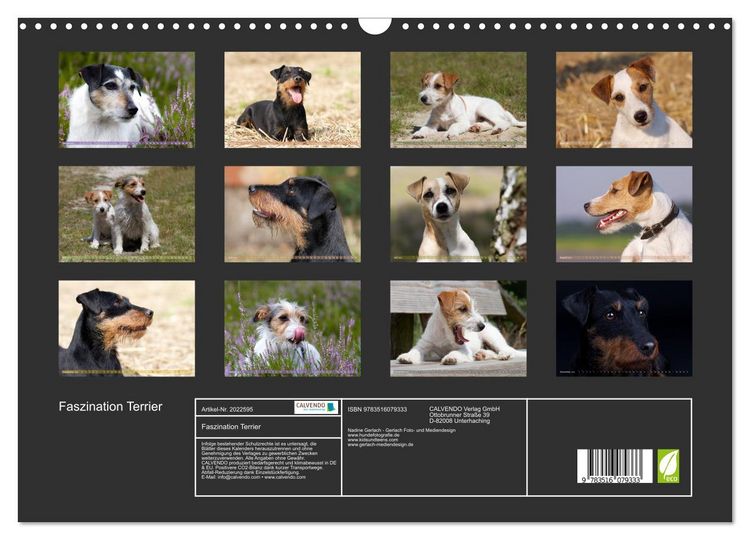 Produktbild: Faszination Terrier (Wandkalender 2026 DIN A3 quer), CALVENDO Monatskalender