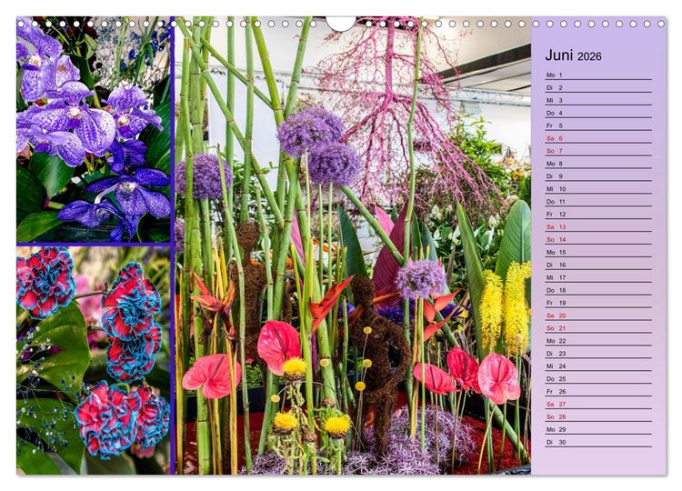 Produktbild: Gartenschau in Erfurt (Wandkalender 2026 DIN A3 quer), CALVENDO Monatskalender