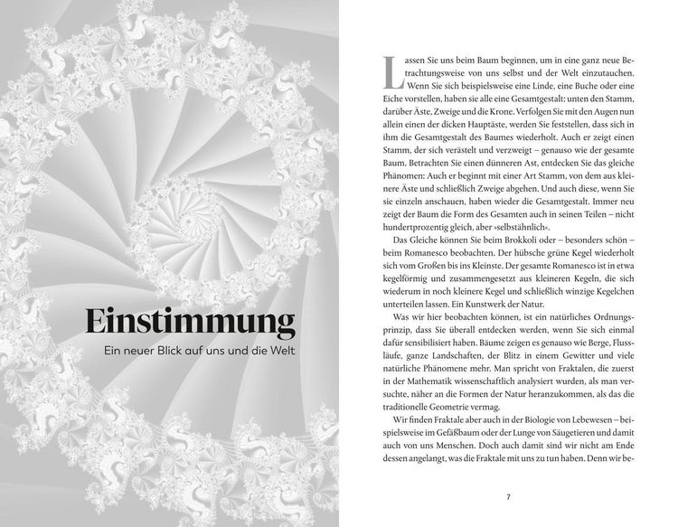 Produktbild: Geometrie der Seele