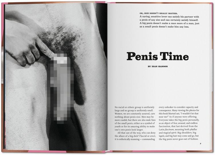 Produktbild: The Little Big Penis Book