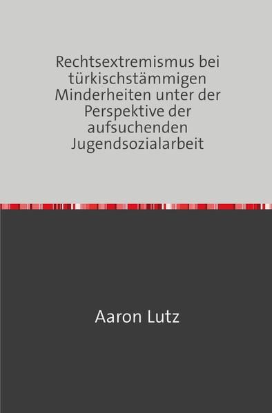 Produktbild: Rechtsextremismus bei t&uuml;rkischst&auml;mmigen Minderheiten unter der Perspektive der aufsuchenden Jugendsozialarbeit