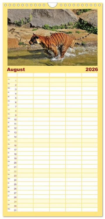 Produktbild: Familienplaner 2026 - Tiger mit 5 Spalten (Wandkalender, 21 x 45 cm) CALVENDO